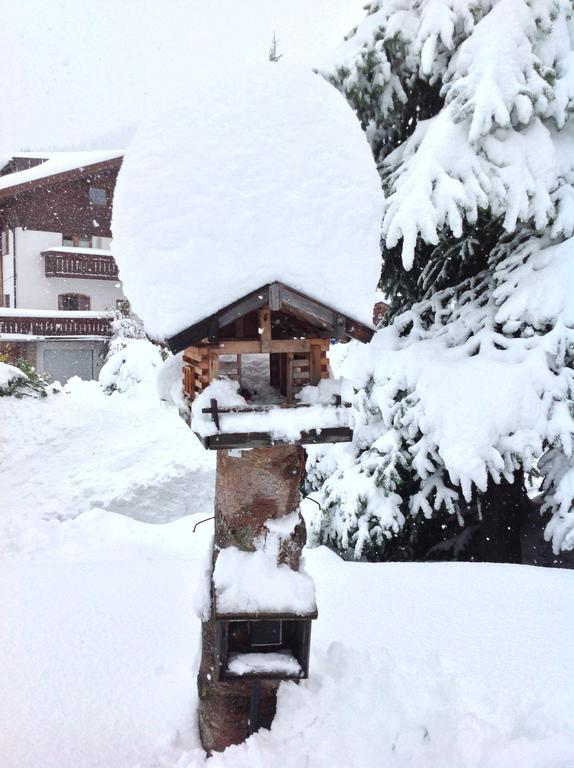 Haus Amann Lägenhet Berwang Exteriör bild