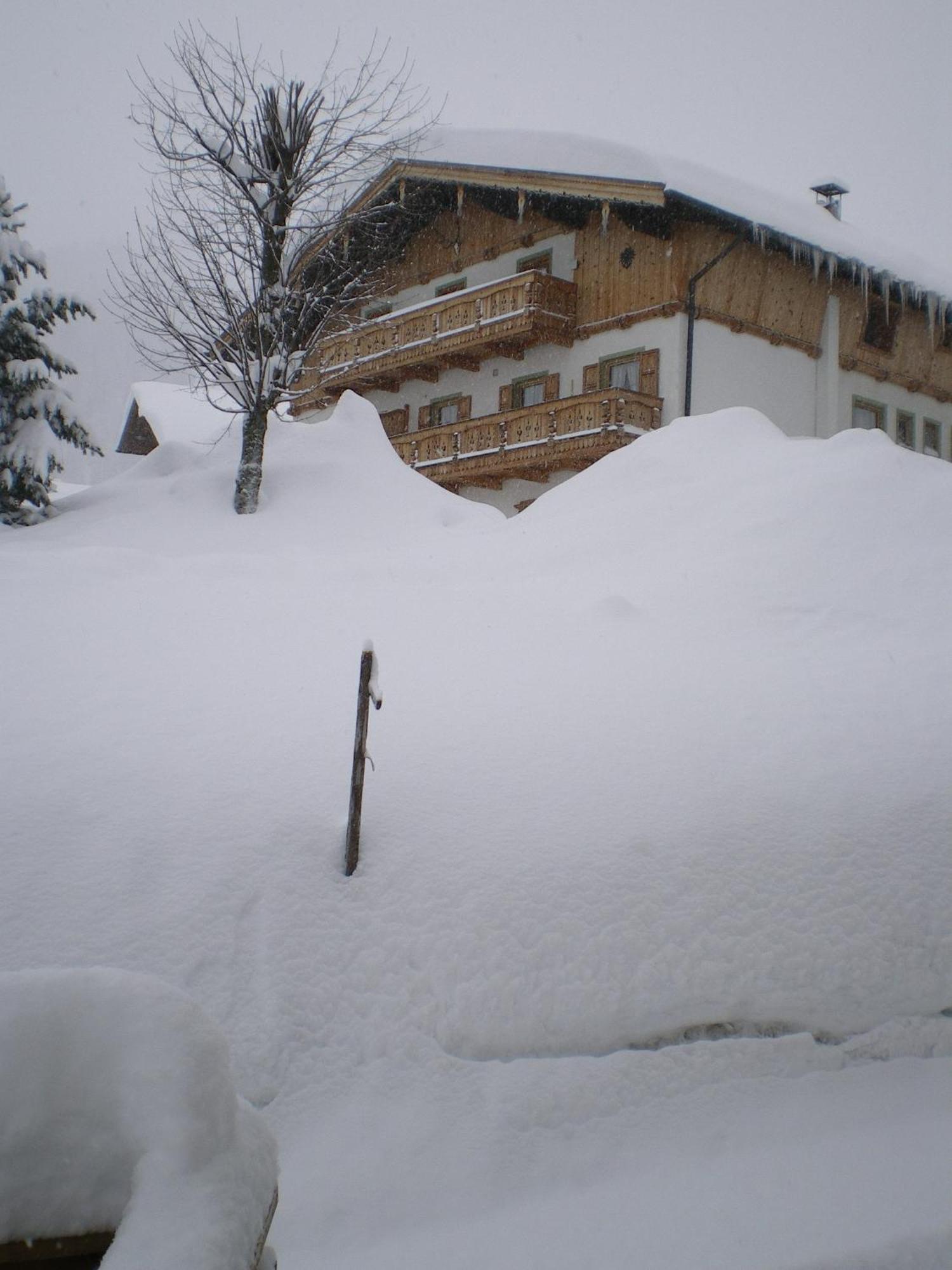 Haus Amann Lägenhet Berwang Exteriör bild